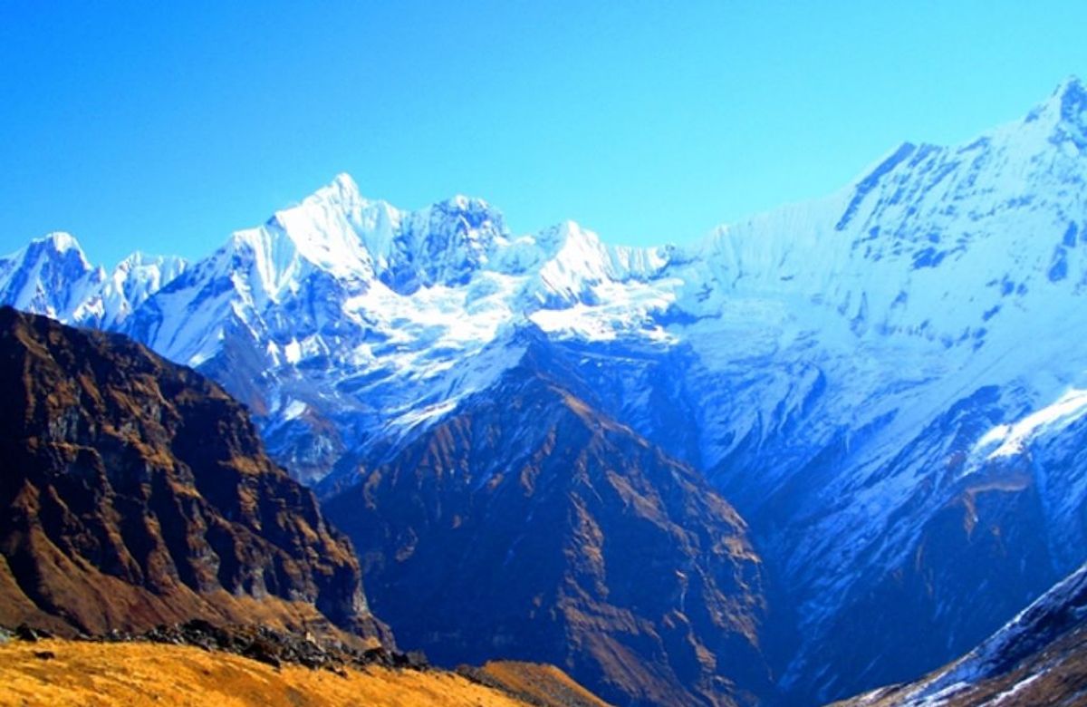 The snow range seen from the Druk Path Trek above the treeline