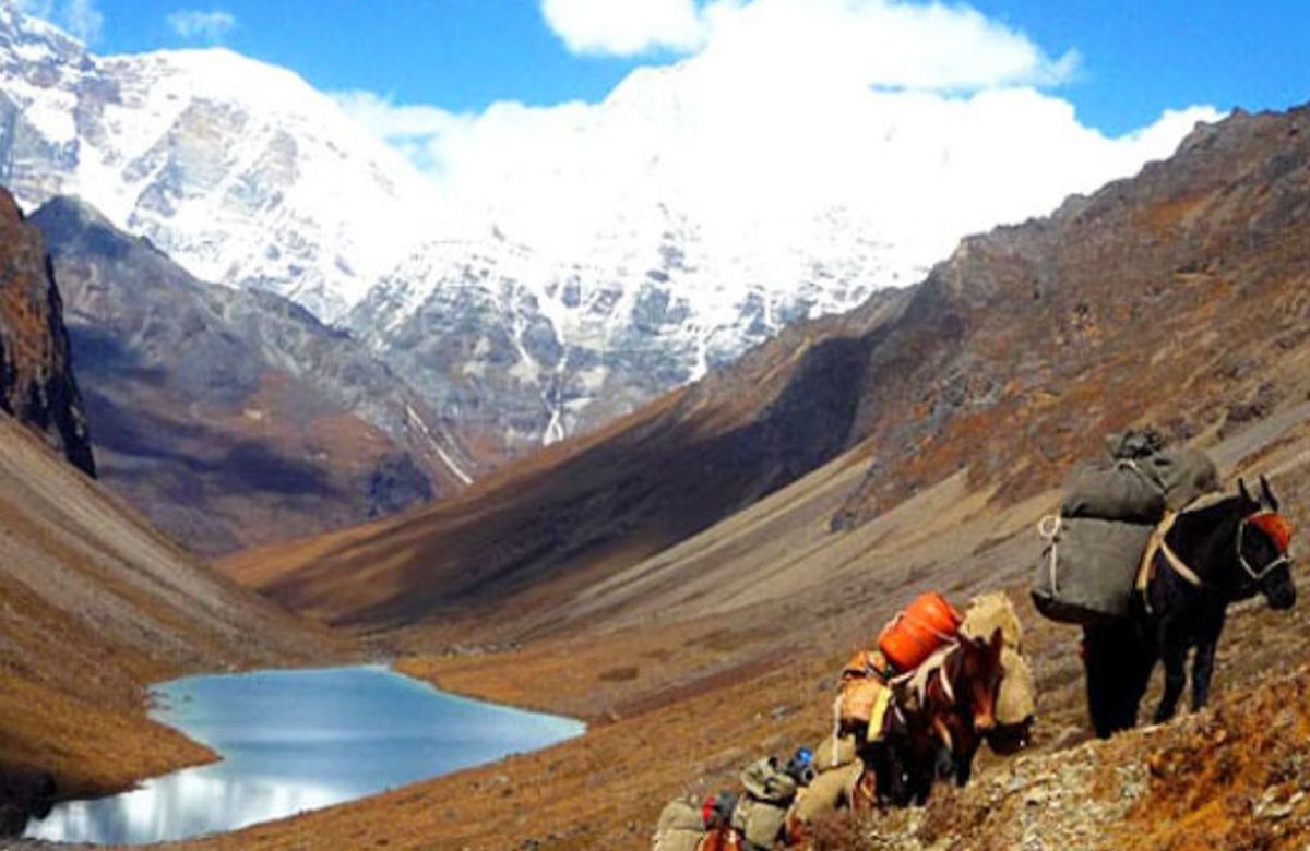 Pack horses on the trail beside the Paro Chhu